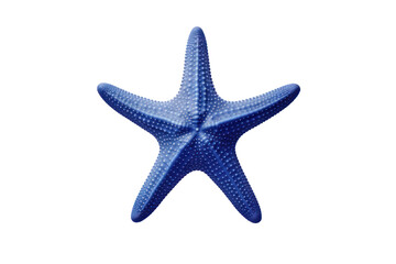 Obraz premium A close-up view of a vibrant orange starfish , isolated on white background