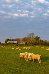 Former island of Schokland, UNESCO World Heritage Site, Netherlands