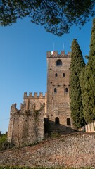 Obraz premium Vertical shot of Conegliano Castle, Italy on a sunny day