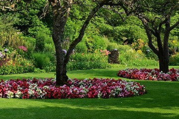 Obraz premium Beautiful landscaped garden with blooming flowers and trees.