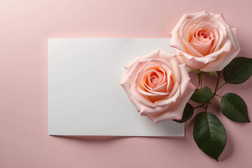 Fototapeta premium pink rose with a card, surrounded by pink roses, copy space