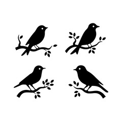 Collection of Black Bird Silhouettes: Vector Design Elements