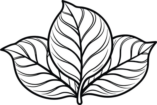 recommend clip art: Outline Tobacco leaf, vector illustration on black and white.
