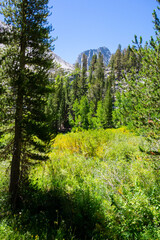 Views of tall jagged mountain peaks, large pine forests, rivers and streams, valleys and feilds, while backpacking through the John Muir Wilderness outside of Big Pine, CA.