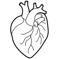 Fototapeta premium organ heart outline coloring book page line art drawing
