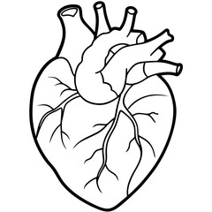 organ heart outline coloring book page line art drawing