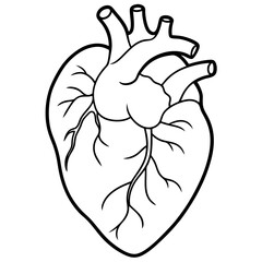 Fototapeta premium organ heart outline coloring book page line art drawing