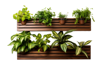 A wall-mounted wooden slat planter with a space-saving design, perfect for small apartments or studios, isolated on a white background.