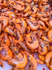 Vibrant whiteleg shrimp basking in a sea of orange, freshly harvested in coastal waters during a sunny morning