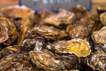 Harvesting Pacific oysters at a bustling coastal market during the early morning hours, celebrating nature's ocean bounty