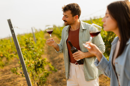 A joyful couple enjoying wine tasting together in a sunny vineyard during the golden hour, surrounded by lush green grapevines