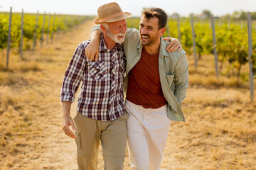 Two men stroll through a sunlit vineyard, sharing laughter and stories on a warm afternoon,...