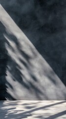 An abstract composition featuring shadows cast on a textured wall, creating a striking interplay of light and darkness.