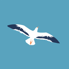 A seagull is flying in sky. Travel poster. Vector flat illustration