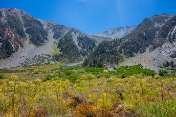 Obraz premium Views of tall jagged mountain peaks, large pine forests, rivers and streams, valleys and feilds, while backpacking through the John Muir Wilderness outside of Big Pine, CA.