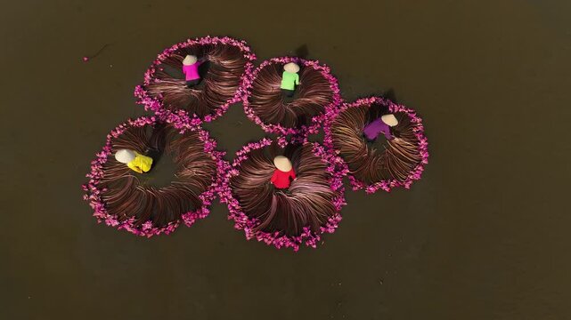 In Moc Hoa, Long An Vietnam, harvesting water lilies in flood season. Video shot in Moc Hoa, Long An September 9, 2024
