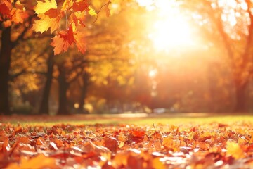 sunny autumn park background in the morning with yellow orange foliage falling down