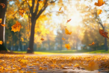 sunny autumn park background in the morning with foliage falling down