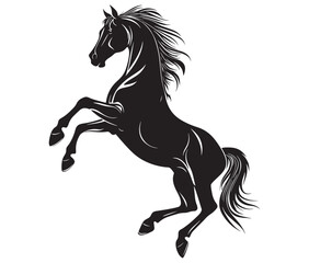 Jumping horse isolated on white background