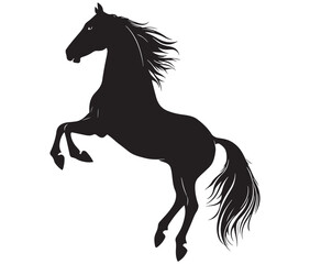 Jumping horse isolated on white background