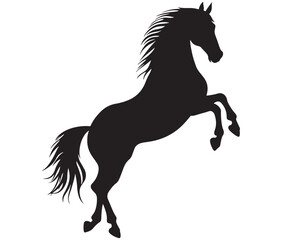 Jumping horse isolated on white background