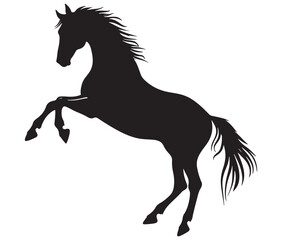 Jumping horse isolated on white background