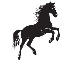 Jumping horse isolated on white background