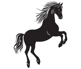 Jumping horse isolated on white background