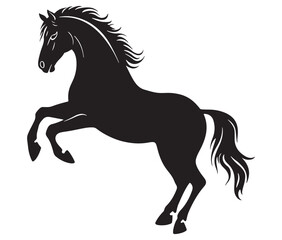 Jumping horse isolated on white background