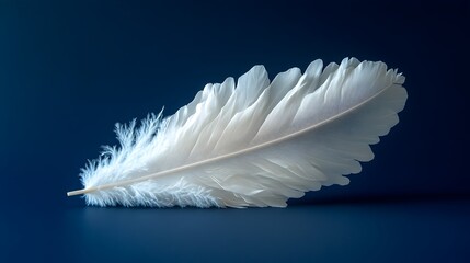 Obraz premium A single soft and delicate white feather gently floating on a deep navy blue background creating a serene and minimalist composition with a sense of lightness and purity