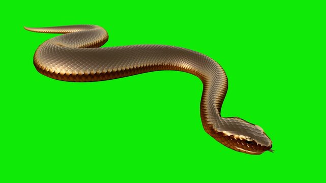 Golden Snake - Ground Slithering Cycle Loop - Front Side Angle CU - Green Screen - Realistic 4K UHD 3D animation for fantasy, magic, fairy-tale, horoscope decorations - Chinese zodiac animal for 2025