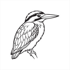 Fototapeta premium A Kingfisher Bird Vector Art Illustration