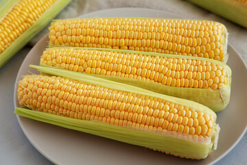 Fresh Raw Yellow Sweet Corn on the Cob, side view.
