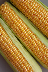 Fresh Raw Yellow Sweet Corn on the Cob, top view.