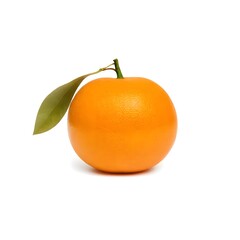 orange on white background