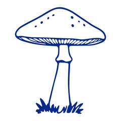 A blue mushroom with a rounded cap and a thick stem