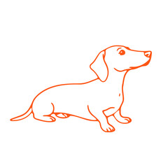 An orange outline drawing of a dachshund dog