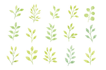 Assortment of watercolor leaves illustration set - green leaf branches collection for wedding, greetings, stationary, wallpapers, fashion, background. olive, green leaves, Eucalyptus etc