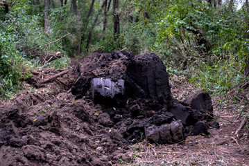 Piles of wet soil after excavator work
