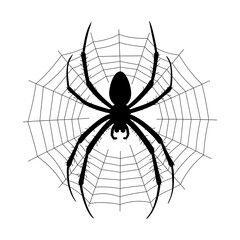 Obraz premium A silhouette of a spider that is positioned on a web.