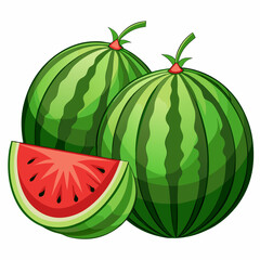 watermelon illustration