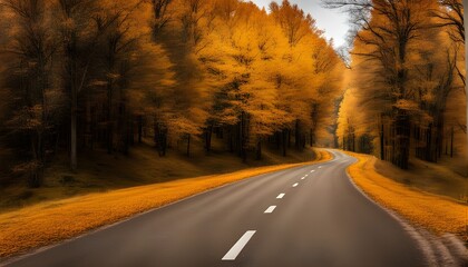 Fototapeta premium road with autumn