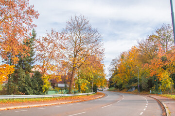  Ingolstadt,  beautiful autumn view in the park 