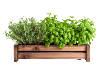 Arranged hot stones for massage on a white background clearly show the color and texture of the stone