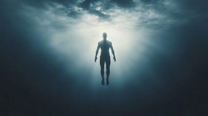 A lone silhouette floats in space bathed in muted colors and ethereal light