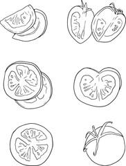 Hand drawn tomato set. Decorative vegetables vector illustration - Vector set
