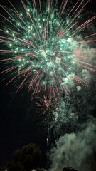 Fototapeta premium fireworks in the night sky