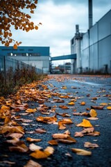 Colorful autumn leaves blanket a quiet industrial pathway on a moody overcast day