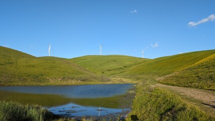 landscape with river