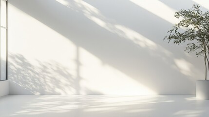 White Wall with Sunlight and Plant Shadow.